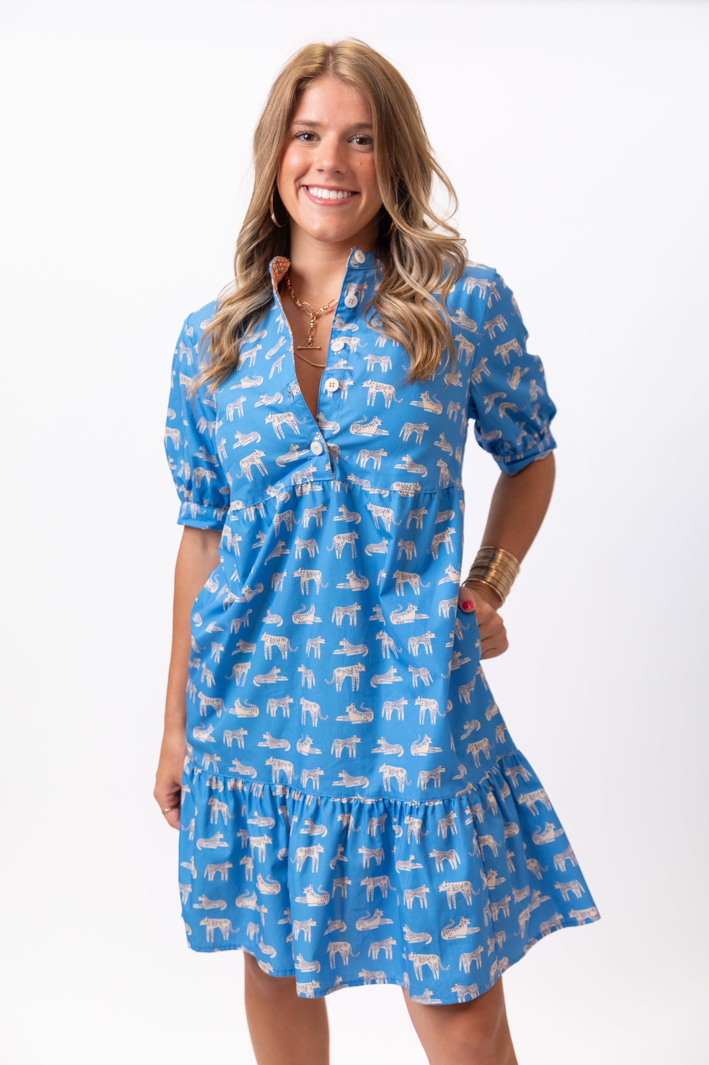 Blue On The Prowl Dress